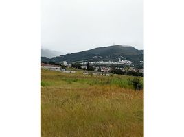  Land for sale in Tarimbaro, Michoacan, Tarimbaro