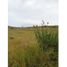  Land for sale in Tarimbaro, Michoacan, Tarimbaro