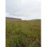  Land for sale in Tarimbaro, Michoacan, Tarimbaro