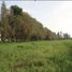  Terreno (Parcela) en venta en Tlahuac, Ciudad de México, Tlahuac