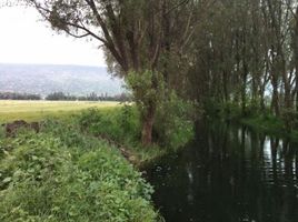 Terreno (Parcela) en venta en Tlahuac, Ciudad de México, Tlahuac