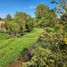  Terreno (Parcela) en venta en Chile, Lolol, Colchagua, Libertador General Bernardo O'Higgins, Chile