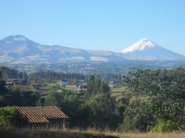 3 chambre Maison for sale in Conocoto, Quito, Conocoto