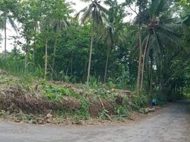  Land for sale in Yogyakarta, Pengasih, Kulon Progo, Yogyakarta