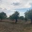  Land for sale in Calpan, Puebla, Calpan