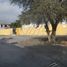  Terreno (Parcela) en alquiler en San Pedro Garza Garcia, Nuevo León, San Pedro Garza Garcia, Nuevo León