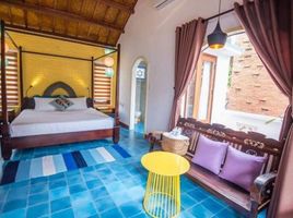 3 Schlafzimmer Haus zu verkaufen in Hoi An, Quang Nam, Cam An, Hoi An