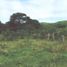  Terrain for sale in Girardot, Cundinamarca, Girardot