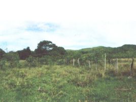  Terrain for sale in Girardot, Cundinamarca, Girardot