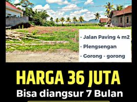  Land for sale in Banyuwangi, East Jawa, Gambiran, Banyuwangi