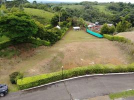  Land for sale in Pereira, Risaralda, Pereira