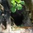 Land for sale in Temozon, Yucatan, Temozon