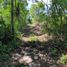  Land for sale in Temozon, Yucatan, Temozon