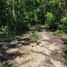  Land for sale in Temozon, Yucatan, Temozon