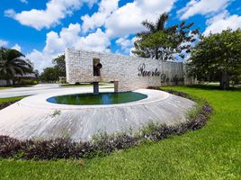 在Progreso, Yucatan出售的 土地, Progreso