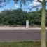 在Progreso, Yucatan出售的 土地, Progreso