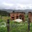  Terreno (Parcela) en venta en La Calera, Cundinamarca, La Calera