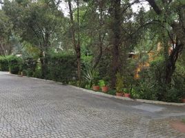  Terreno (Parcela) en venta en Tlalpan, Ciudad de México, Tlalpan