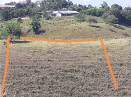  Terreno (Parcela) en venta en Quimbaya, Quindio, Quimbaya