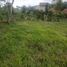  Land for sale in Subang, West Jawa, Pamanukan, Subang