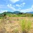  Land for sale in Pereira, Risaralda, Pereira