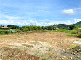  Land for sale in Pereira, Risaralda, Pereira