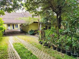 6 Bedroom House for sale in Bantul, Yogyakarta, Kasihan, Bantul