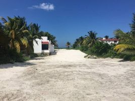  Grundstück zu verkaufen in Sinanche, Yucatan, Sinanche