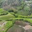  Land for sale in Filandia, Quindio, Filandia