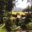 3 Schlafzimmer Haus zu verkaufen in Amanalco, Mexico, Amanalco