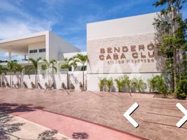  Grundstück zu verkaufen in Cozumel, Quintana Roo, Cozumel