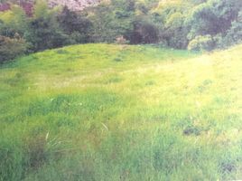  Land for sale in Pereira, Risaralda, Pereira