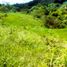  Land for sale in Pereira, Risaralda, Pereira