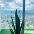 Cuernavaca, 모렐 로스PropertyTypeNameBedroom, Cuernavaca