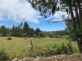 Land for sale in Cardenal Caro, Libertador General Bernardo Ohiggins, Litueche, Cardenal Caro