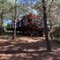  Land for sale in Cardenal Caro, Libertador General Bernardo Ohiggins, Litueche, Cardenal Caro