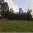  Land for sale in Cardenal Caro, Libertador General Bernardo Ohiggins, Litueche, Cardenal Caro