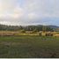 Land for sale in Cardenal Caro, Libertador General Bernardo Ohiggins, Litueche, Cardenal Caro