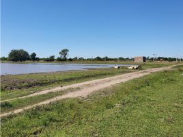  Terrain for sale in Libertad, Chaco, Libertad