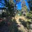  Land for sale in Rio Negro, Bariloche, Rio Negro