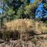  Land for sale in Rio Negro, Bariloche, Rio Negro