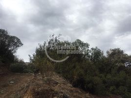  Land for sale in Chile, Santiago, Santiago, Santiago, Chile