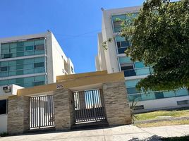 3 Schlafzimmer Wohnung zu vermieten in Zapopan, Jalisco, Zapopan