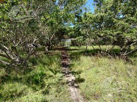  Land for sale in Celestun, Yucatan, Celestun