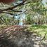  Land for sale in Celestun, Yucatan, Celestun