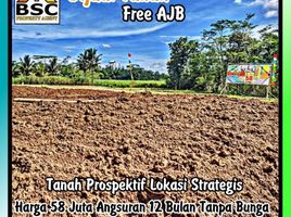  Land for sale in Kepanjen, Malang Regency, Kepanjen