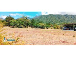  Land for sale in Boqueron, Chiriqui, Cordillera, Boqueron