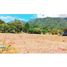  Land for sale in Cordillera, Chiriqui, Cordillera, Boqueron
