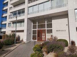 코 퀴보PropertyTypeNameBedroom, Coquimbo, 엘키, 코 퀴보
