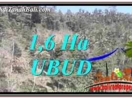  Land for sale in Ubud, Gianyar, Ubud